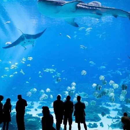 L'appart Hey דירה קאלה