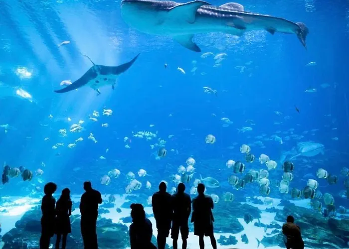 L'appart Hey Appartement Calais